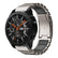 Garmin Watch Titanium Band